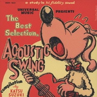 The Best Selection, Acoustic Swing