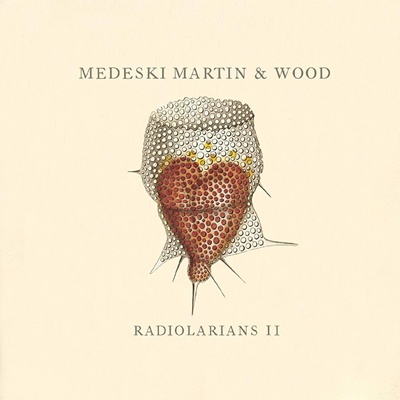 Radiolarians II