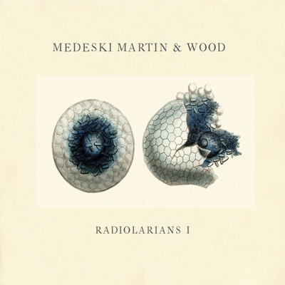 Radiolarians I